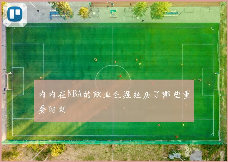 内内在NBA的职业生涯经历了哪些重要时刻