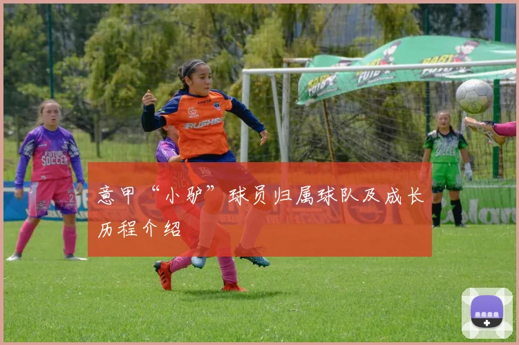 意甲“小驴”球员归属球队及成长历程介绍